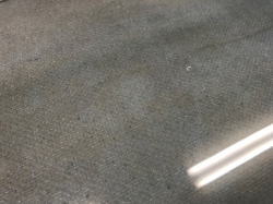 �I�[�o�[�z�[�� �X�L�b�v�t���C �S�[�h���A���h�X�~�X 30_12